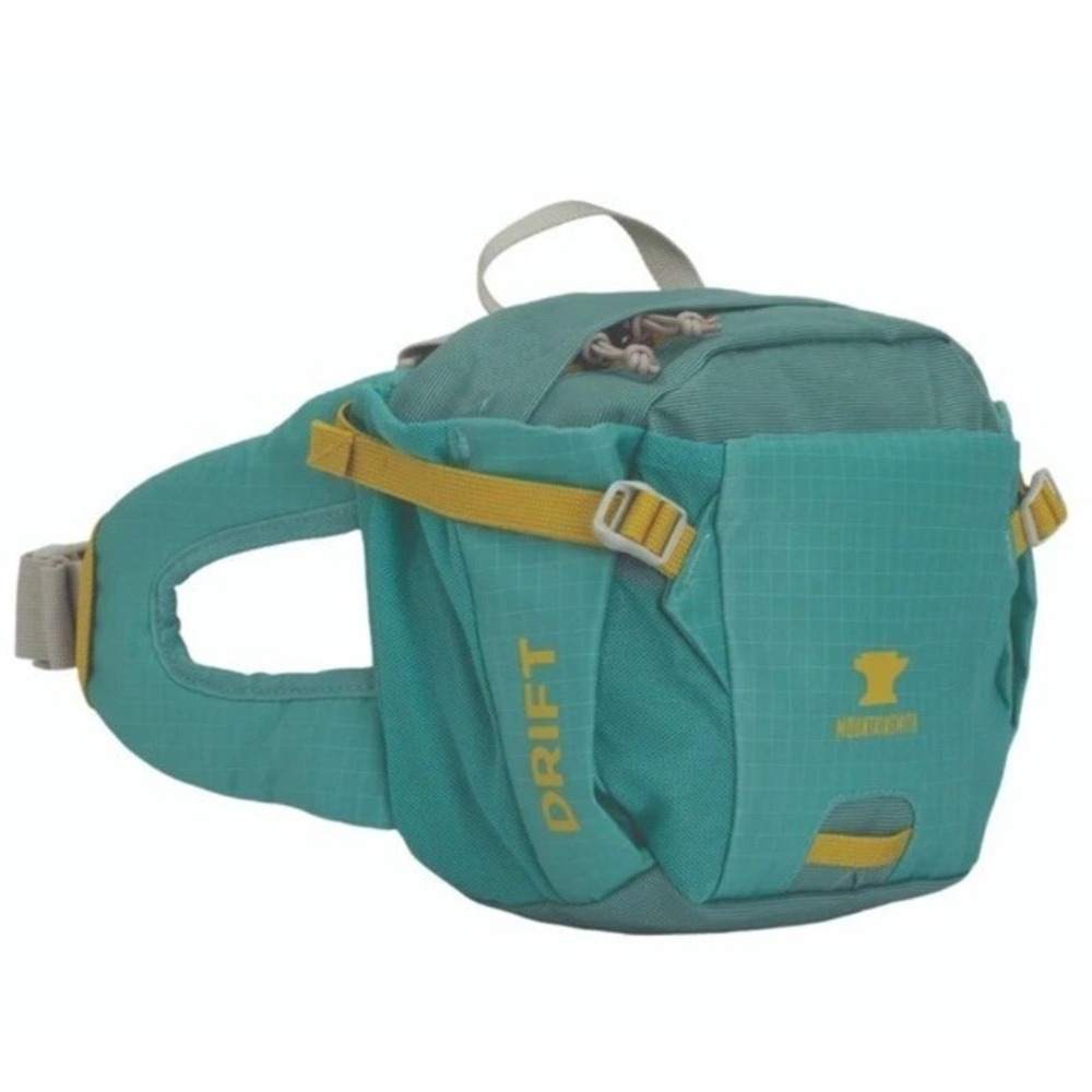 Mountainsmith Drift Lumbar Pack Teal Detachable Strap Outdoors Hiking Gorpcore
